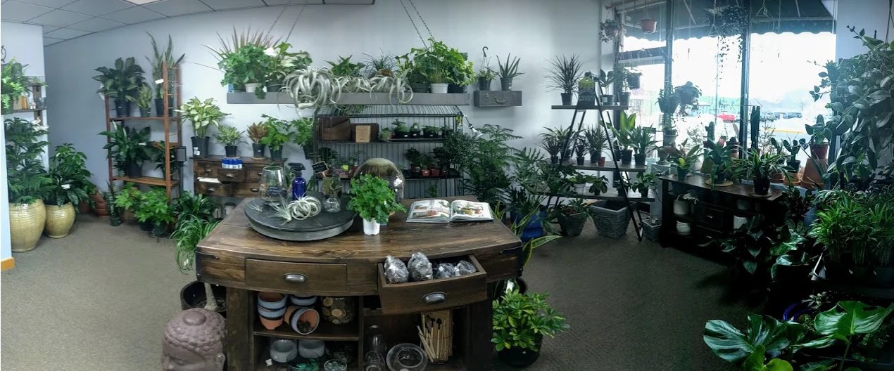 About Florist Northfield, MN Florist